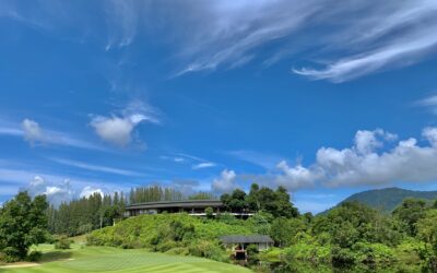 From Shopping Mall to Golf courses – MBK